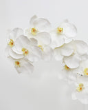 Large White Orchid Phalaenopsis 34" - 3