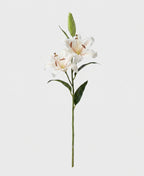 Casablanca Real Touch Large Lily Single Stem - White (edited v2)