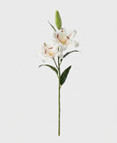 Casablanca Real Touch Large Lily Single Stem - White (edited v2)