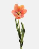 Yellow Orange Tulip 22.5" - 3