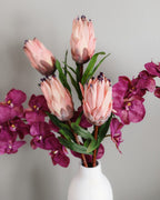 Pink Mink Protea 29" - 4