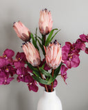 Pink Mink Protea 29" - 4