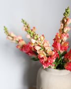 Real Touch Coral Snapdragon 23” - 4