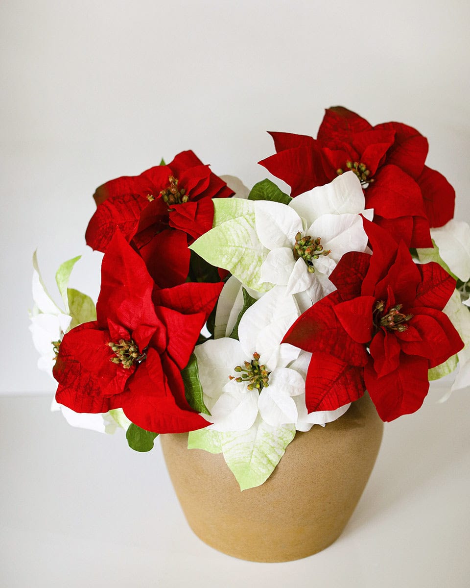 White Poinsettia 24” - 4