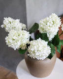 Cream White Cone Hydrangea 35.5" - 3