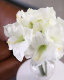 White Artificial Amaryllis 19.5” - 4