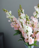 Real Touch Pink Snapdragon 23” - 4
