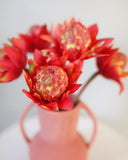 Faux Red Orange Waratah Protea 16.5” - 4
