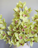 Green Cymbidium Orchid 41.5" - 4