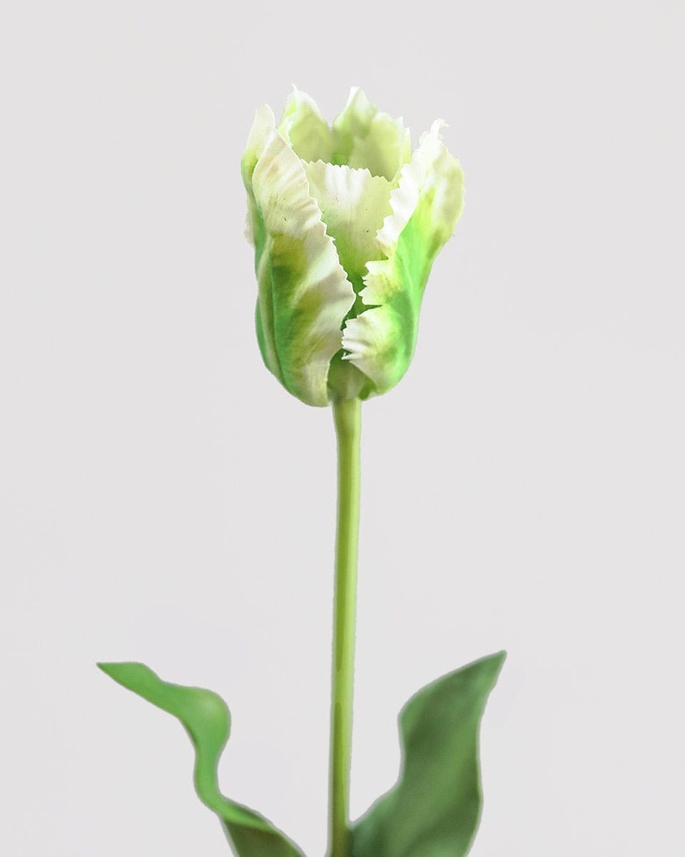 Real Touch Green Parrot Tulip 22.5" - 3