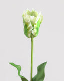 Real Touch Green Parrot Tulip 22.5" - 3