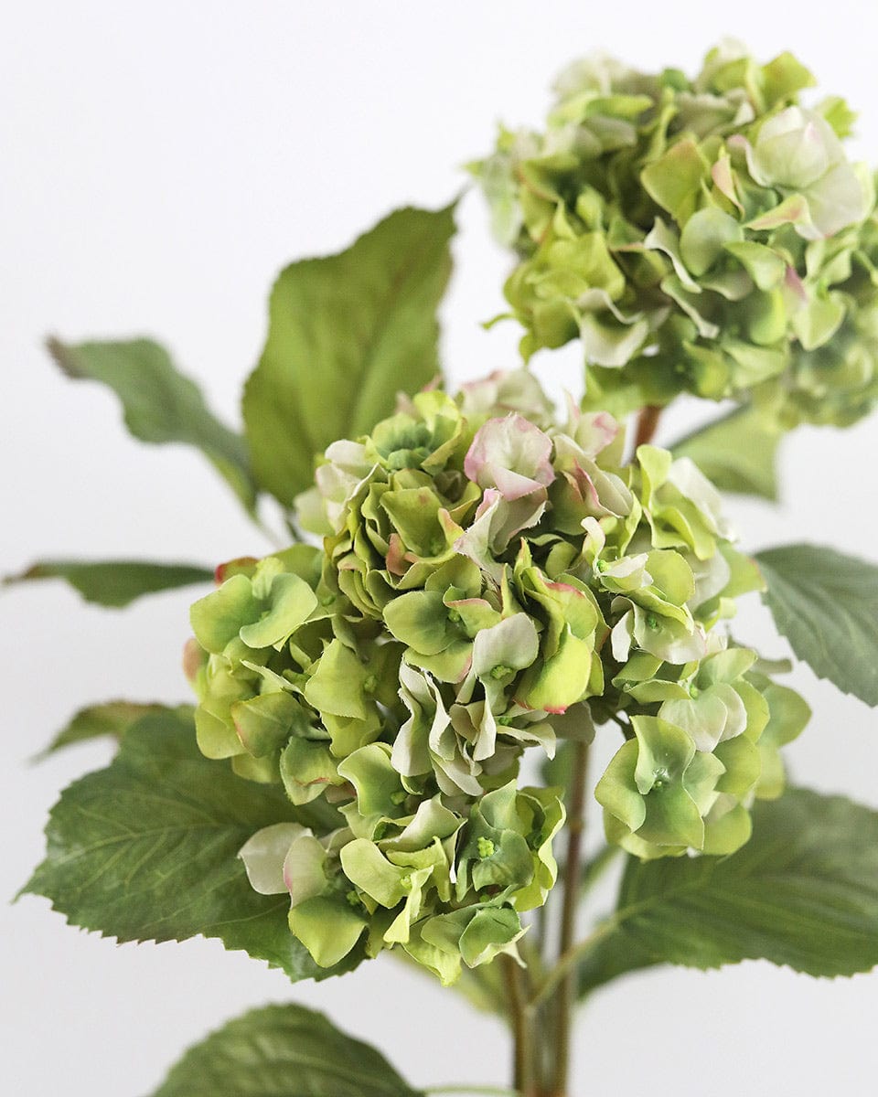 Green Double Hydrangea 36" - 4