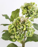 Green Double Hydrangea 36" - 4