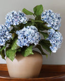 Blue Double Hydrangea 36" - 4