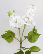 Real Touch White Lilac 27.5” - 4