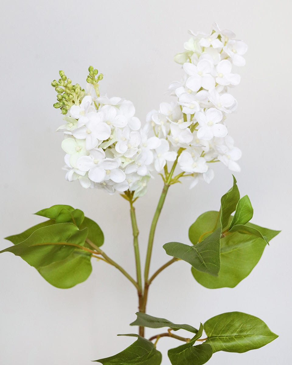 Real Touch White Lilac 27.5” - 4