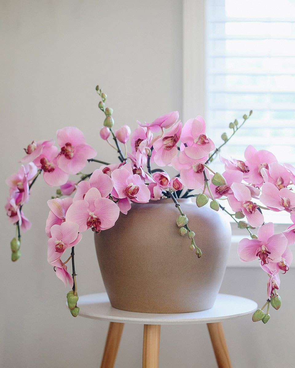 Pink Flowering Phalaenopsis Orchid 34" - 4