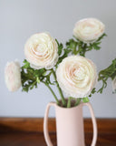 Cream Silk Ranunculus 21” - 4