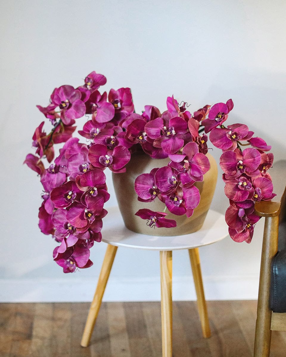 Deep Magenta Phalaenopsis Orchid 34" - 4