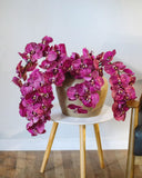 Deep Magenta Phalaenopsis Orchid 34" - 4