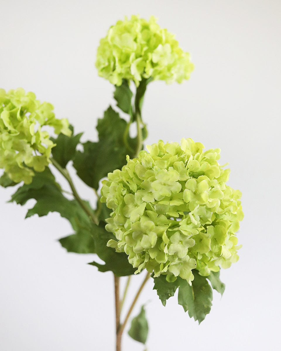 Premium Green Snowball 33" - 4