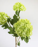 Premium Green Snowball 33" - 4