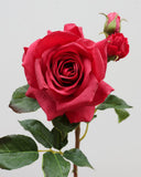 Real Touch Prestige Red Rose 22" - 4