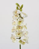Cream Cymbidium Orchid 33" - 4