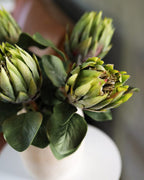 Green King Protea 23.5" - 4