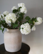 Premium Cream Snowball 33" - 4