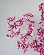 Faux Pink Dancing Oncidium 46.5" - 4
