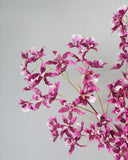 Faux Pink Dancing Oncidium 46.5" - 4