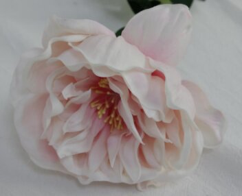 Large Real Touch Peony Single Stem - Pink