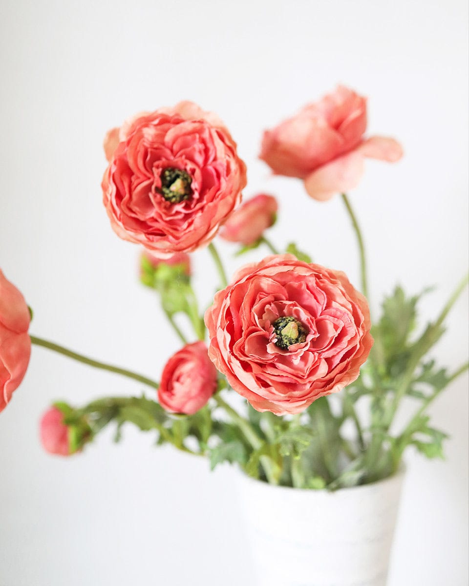 Salmon Pink Ranunculus 19.5" - 4