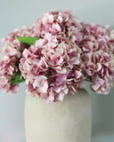 Pink Soft Touch Hydrangea 18'' - 4