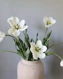 Cream White Tulip 22.5" - 4