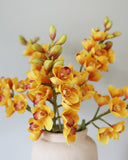 Yellow Orange Cymbidium Orchid 33" - 4