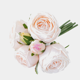 6 Cabbage Rose Bundle — text removed