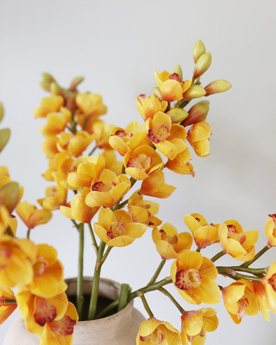 Yellow Orange Cymbidium Orchid 33" - 5