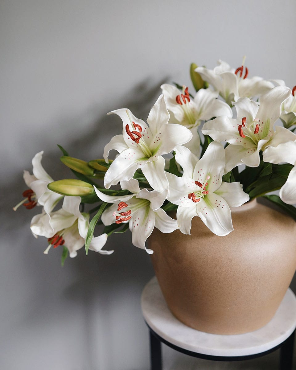 White Stargazer Lily 29" - 5