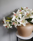 White Stargazer Lily 29" - 5