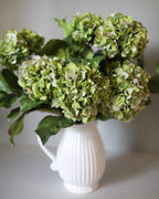 Green Double Hydrangea 36" - 5