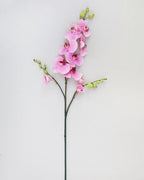 Pink Flowering Phalaenopsis Orchid 34" - 5