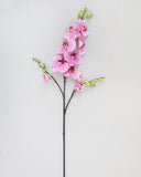 Pink Flowering Phalaenopsis Orchid 34" - 5