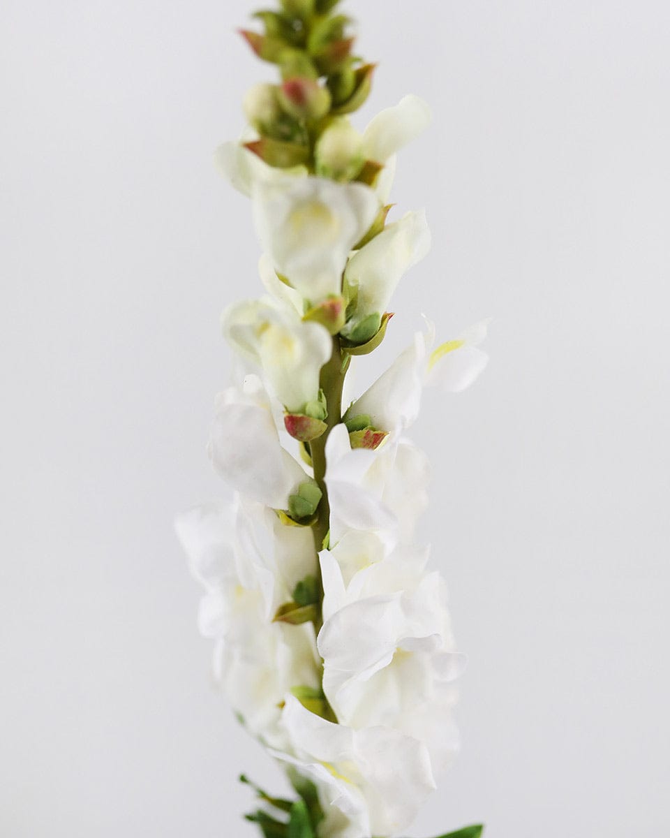Real Touch Cream White Snapdragon 23” - 5