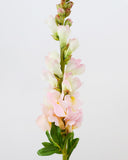 Real Touch Pink Snapdragon 23” - 5