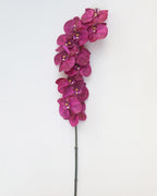 Deep Magenta Phalaenopsis Orchid 34" - 5