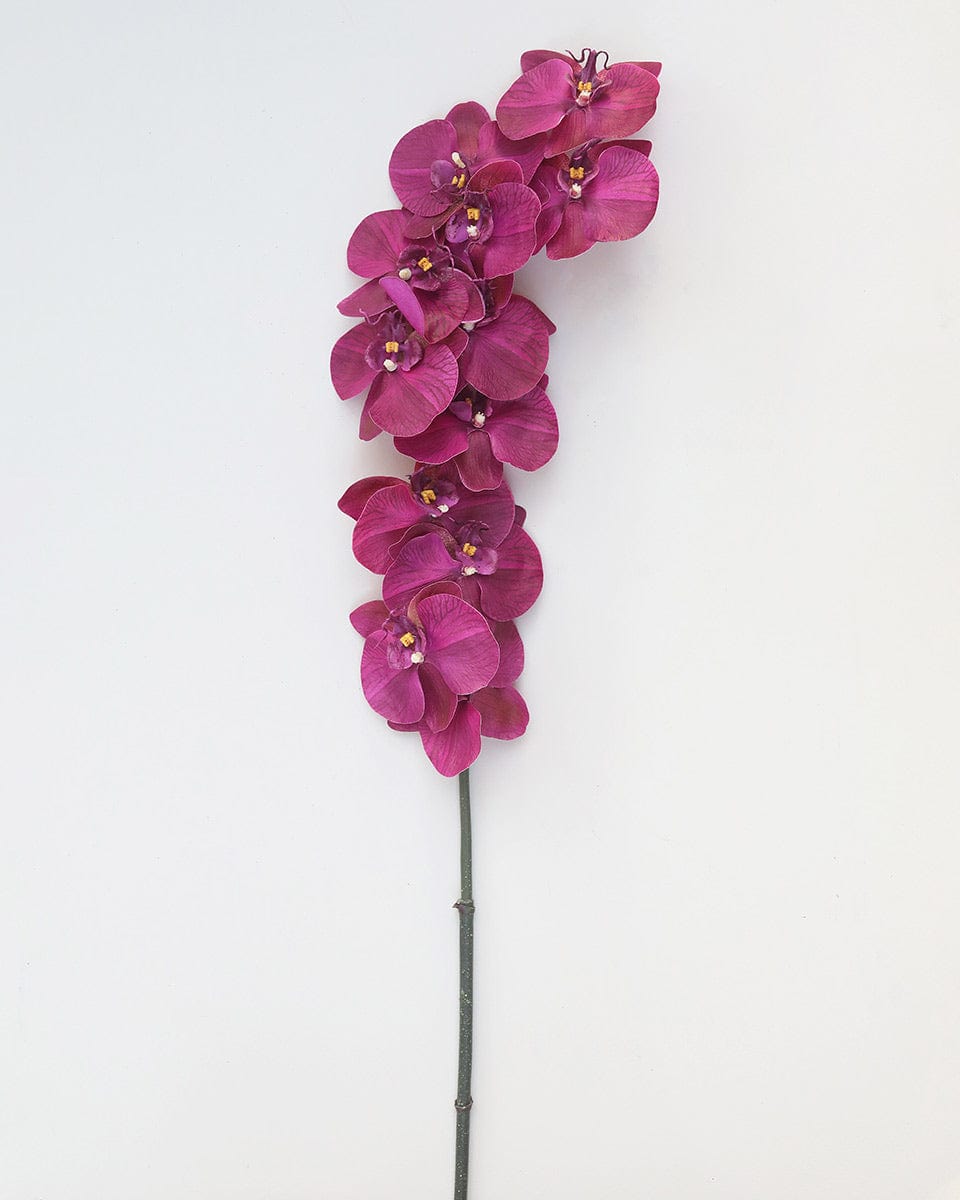 Deep Magenta Phalaenopsis Orchid 34" - 5