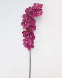 Deep Magenta Phalaenopsis Orchid 34" - 5