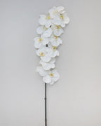 Large White Orchid Phalaenopsis 34" - 5